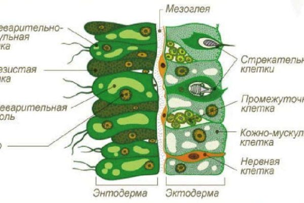 Кракен сайт даркнет зеркало