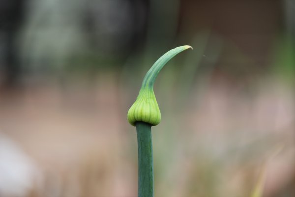 Кракен основная ссылка onion